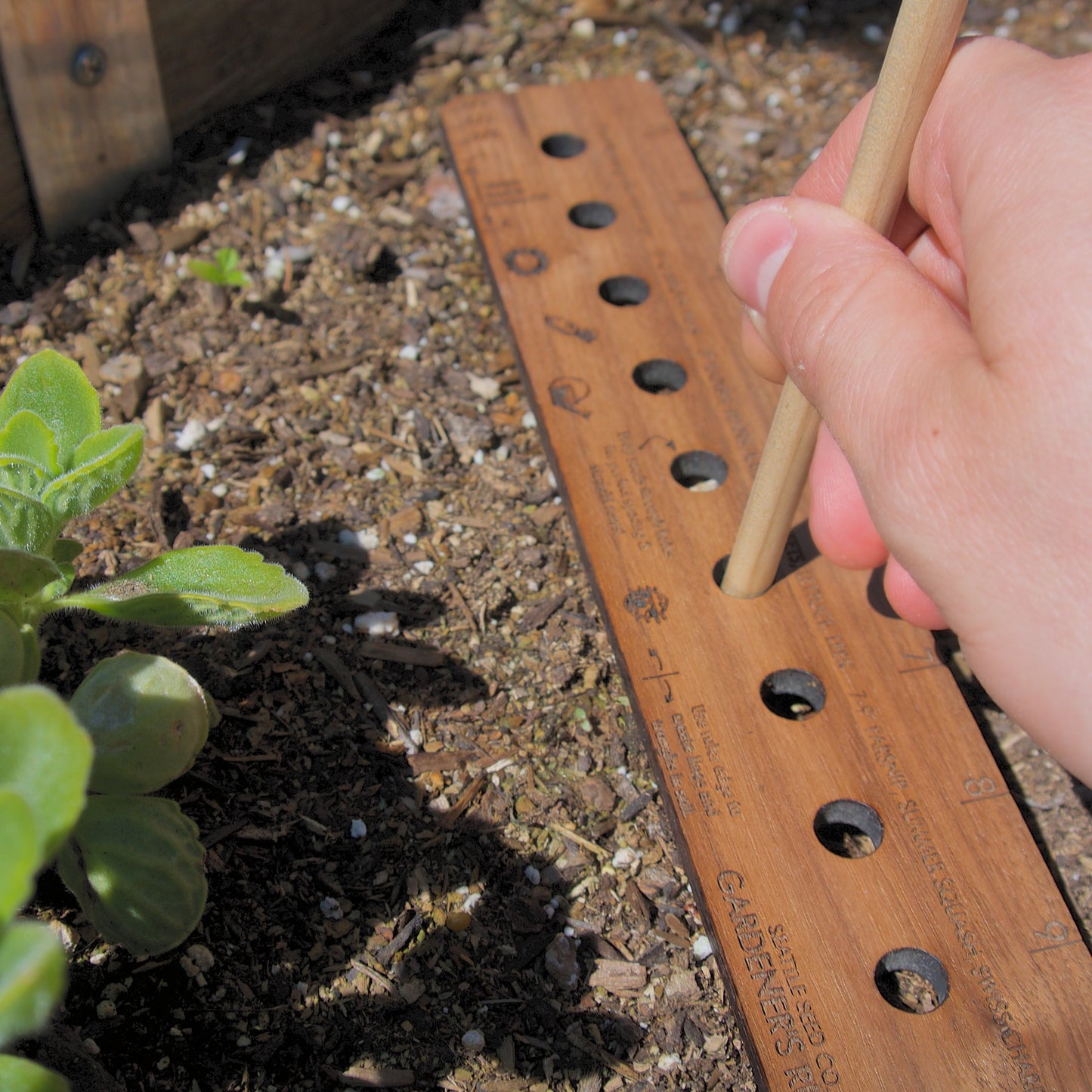 Gardener's Ruler