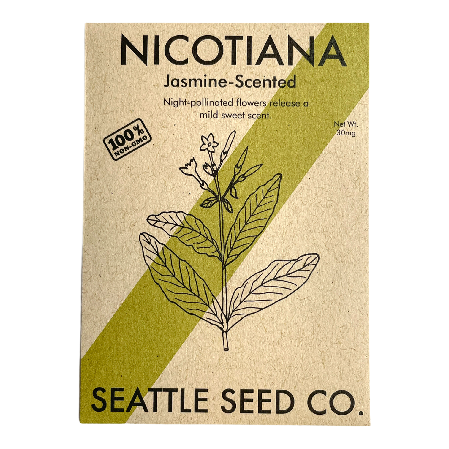 jasmine scented tobacco Nicotiana Seeds West Coast Seeds 000 seeds/oz Jasmine Scented Nicotiana - High
