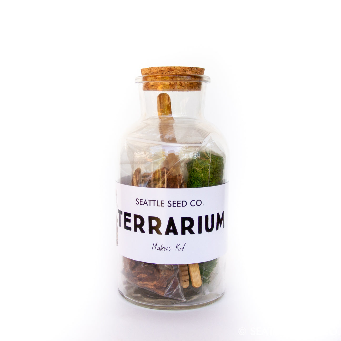 terrarium plants seattle DIY Terrarium Kit – Seattle Seed Company
