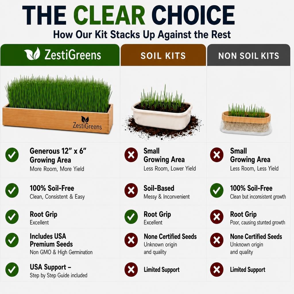 Cat grass growing in a self-watering kit
