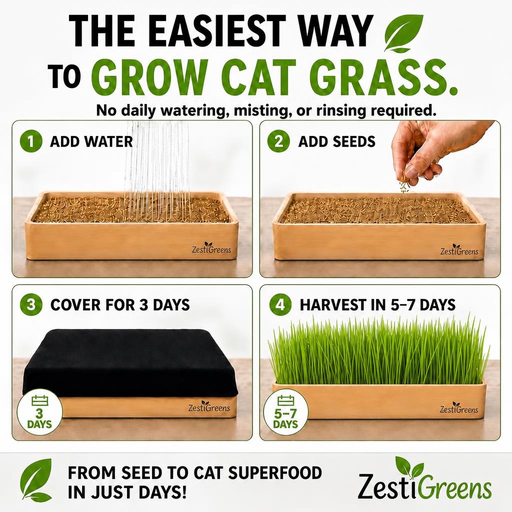 Self-watering cat grass kit – photo 4 of 8