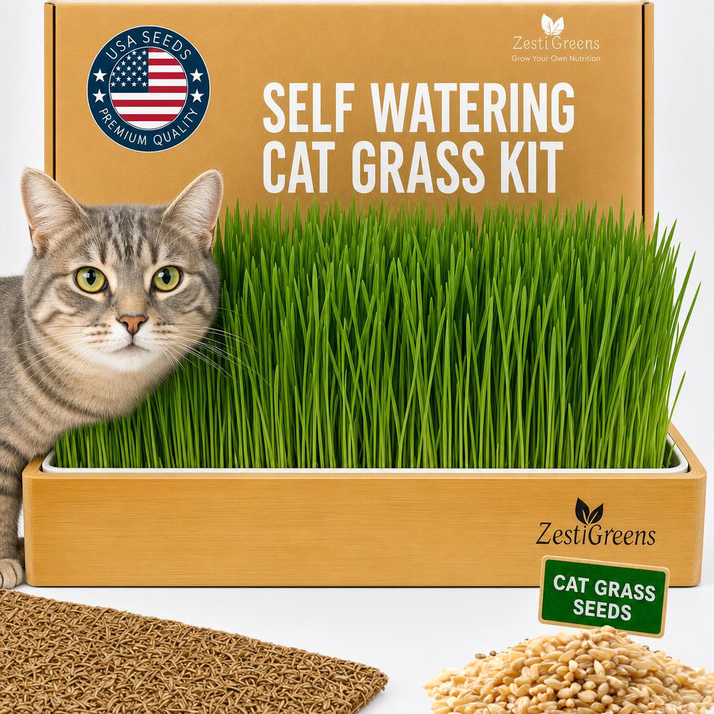 Self-watering cat grass kit