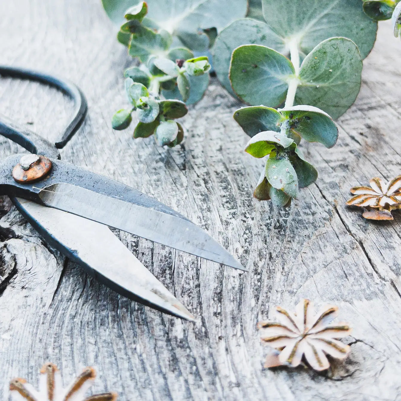 Forged Steel Pruners