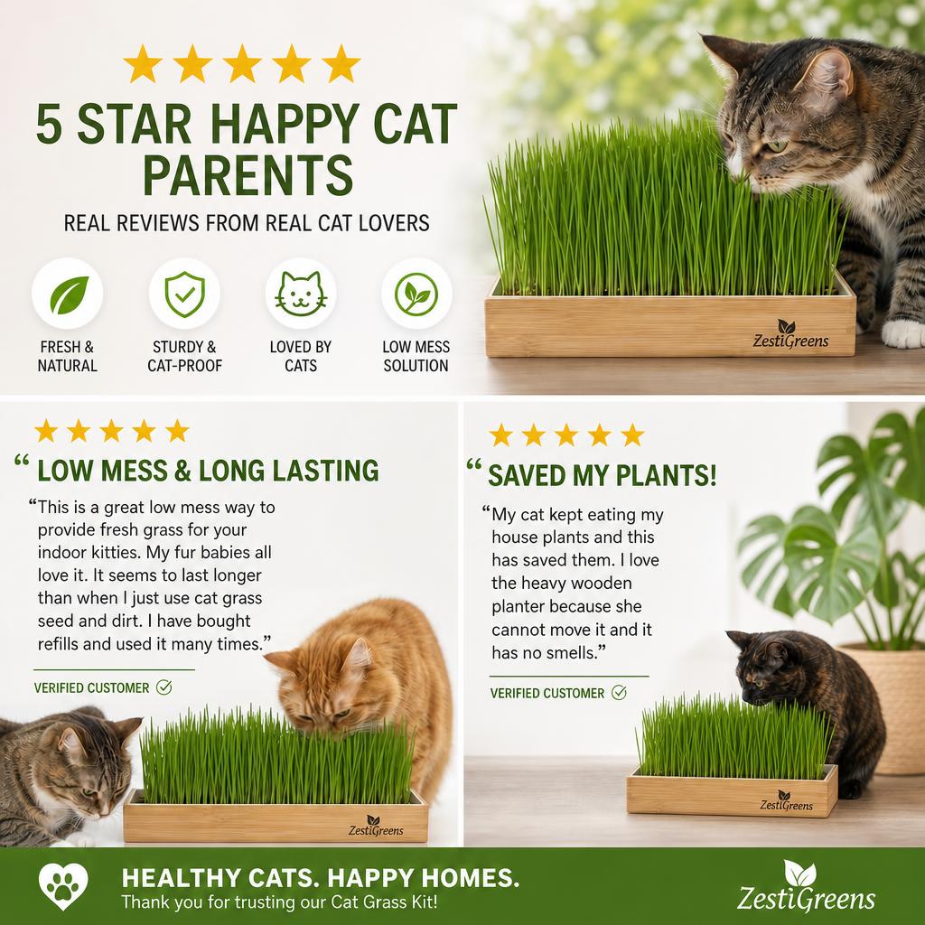 Self-watering cat grass kit – photo 6 of 8