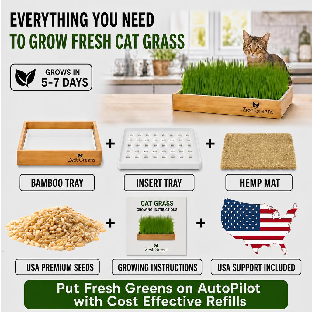 Self-watering cat grass kit – photo 8 of 8
