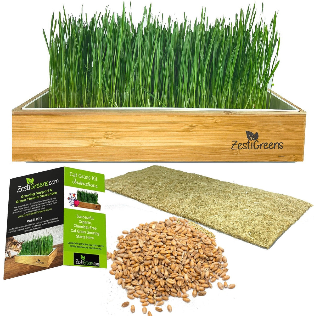 Self-watering cat grass kit – photo 2 of 8