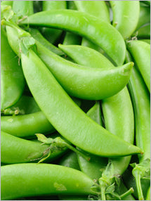 Peas - Sugar Snap